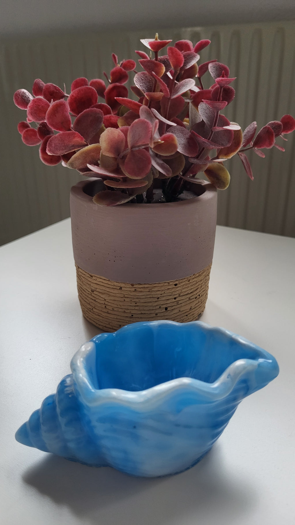 Muschel Schale